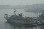 Dcim0875/DSC_4685
