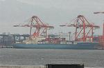 Dcim0877/DSC_2013