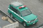 Dcim0877/DSC_2015
