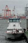 Dcim0877/DSC_2020