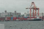 Dcim0877/DSC_2056