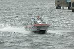 Dcim0878/DSC_2081