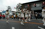 Dcim0883/DSC_5242