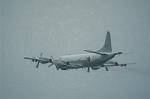 Dcim0884/DSC_5409