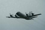 Dcim0884/DSC_5423