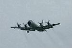 Dcim0885/DSC_2422