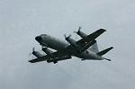 Dcim0885/DSC_2425
