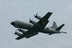 Dcim0885/DSC_2426
