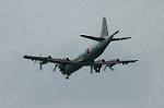 Dcim0885/DSC_2429