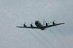 Dcim0885/DSC_2442
