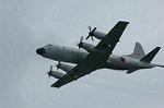 Dcim0885/DSC_2451
