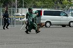 Dcim0888/DSC_2869