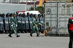 Dcim0888/DSC_2888