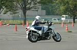 Dcim0890/DSC_3176