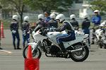 Dcim0890/DSC_3204