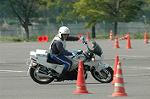Dcim0890/DSC_3206