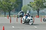 Dcim0890/DSC_3212