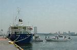 Dcim0892/DSC_5604