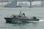 Dcim0893/DSC_5799