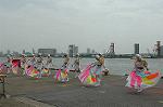 Dcim0894/DSC_3274