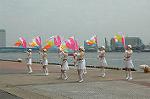 Dcim0894/DSC_3300