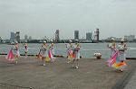 Dcim0894/DSC_3309