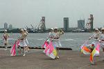Dcim0894/DSC_3313