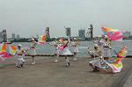 Dcim0894/DSC_3329