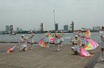Dcim0894/DSC_3332