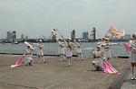 Dcim0894/DSC_3334