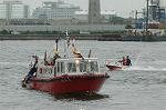 Dcim0895/DSC_3372