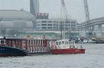 Dcim0896/DSC_5962