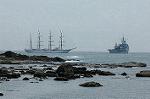Dcim0898/DSC_3597