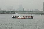 Dcim0910/DSC_4195
