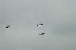 Dcim0911/DSC_4241