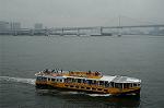Dcim0915/DSC_7136