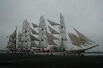Dcim0916/DSC_7343