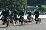 Dcim0923/DSC_4524
