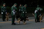 Dcim0925/DSC_7766