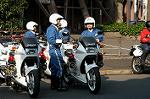 Dcim0925/DSC_7784