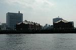 Dcim0929/DSC_4699