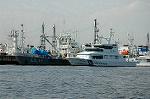 Dcim0929/DSC_4711