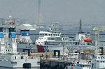 Dcim0931/DSC_8242