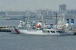 Dcim0931/DSC_8255