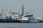 Dcim0931/DSC_8312