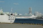 Dcim0952/DSC_5413