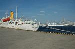 Dcim0952/DSC_5426