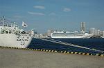 Dcim0952/DSC_5427
