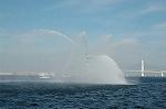 Dcim0969/DSC_6495