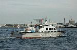 Dcim0969/DSC_6529